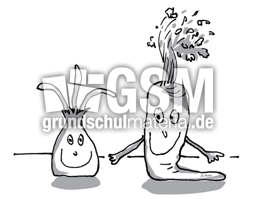 Karotte und Zwiebel 22.jpg